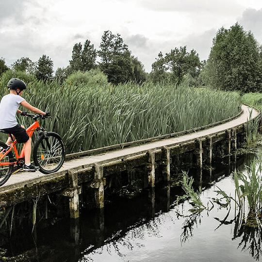 ROCKRIDER Детски планински велосипед 26"
